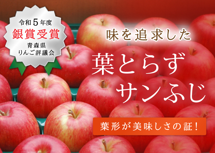 青森県産りんご葉取らずさんフジ家庭用3キロ - 果物