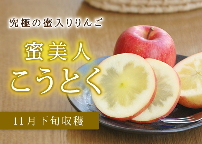 百花千果青森県産  こうとく (高徳)  りんご  家庭用 5kg  産地直送 リンゴ