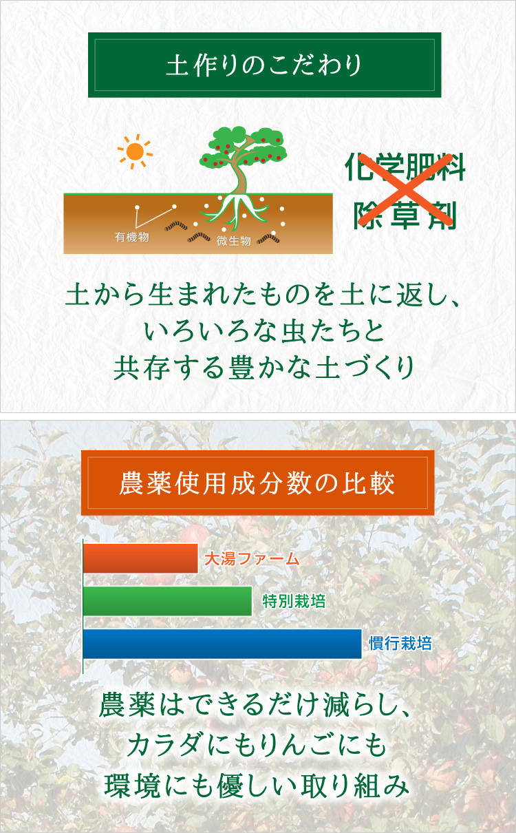 おためしセット | 青森りんご産地直送 大湯ファーム