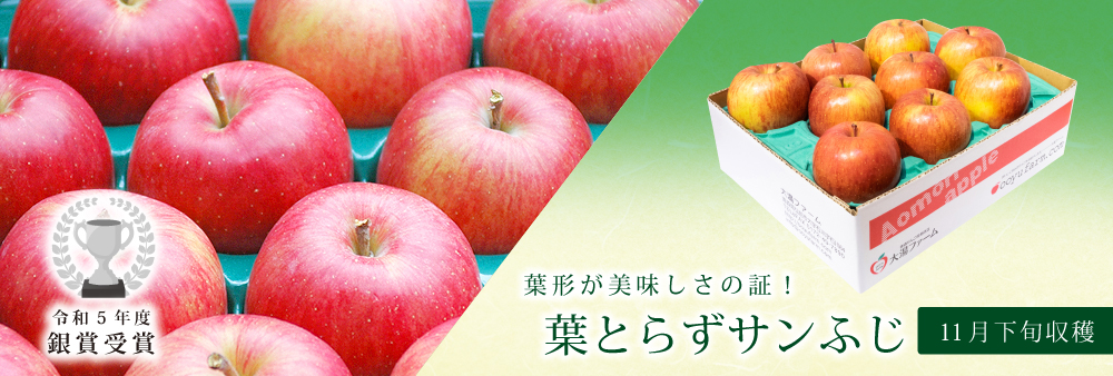 青森りんご販売 通販で産地直送 大湯ファーム 安心安全なおいしい